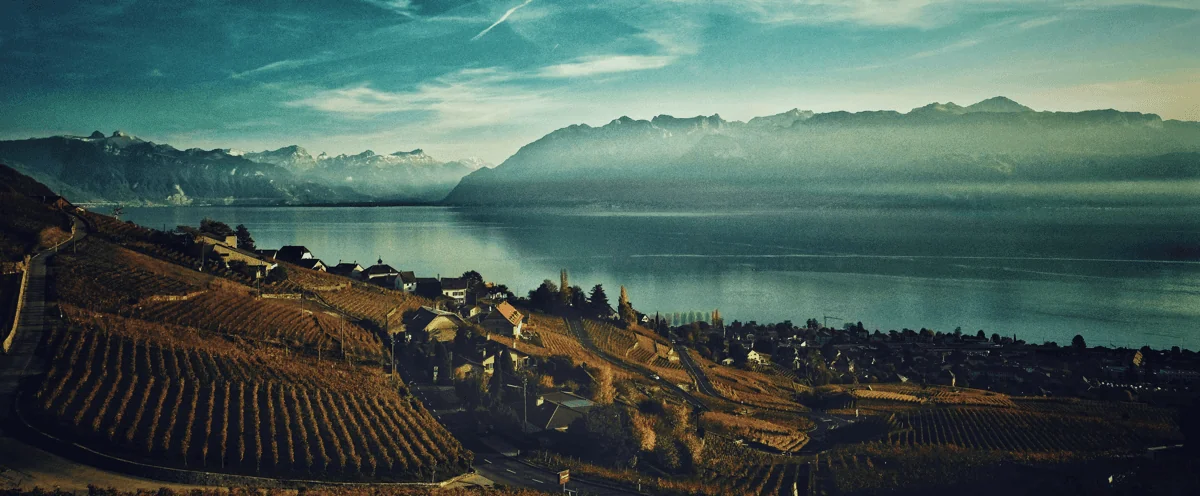Lac Léman et vignobles